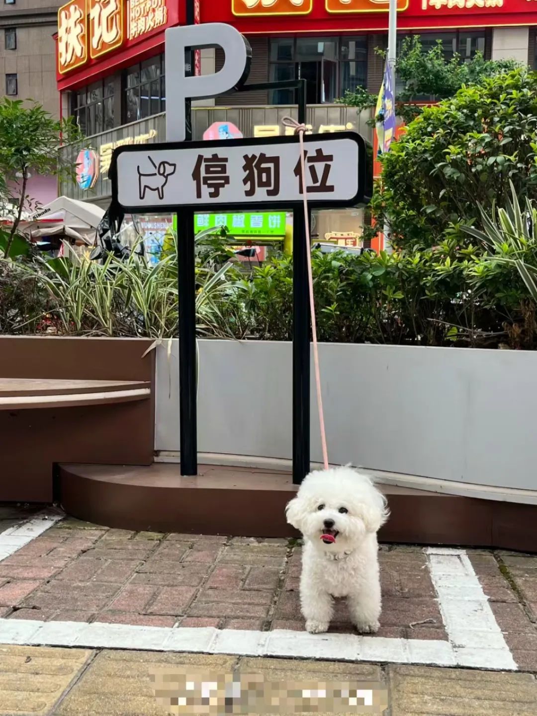 DƬ